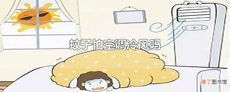 蚊子怕空调冷风吗
