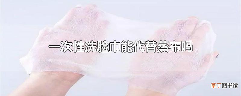 一次性洗脸巾能代替蒸布吗