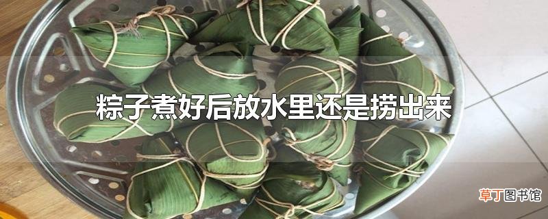 粽子煮好后放水里还是捞出来