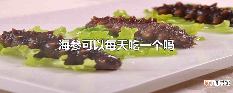 海参可以每天吃一个吗