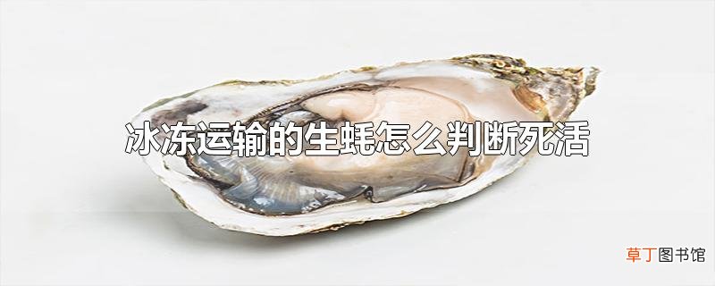 冰冻运输的生蚝怎么判断死活