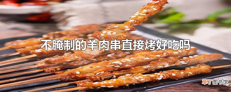 不腌制的羊肉串直接烤好吃吗