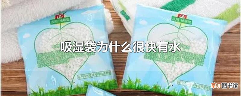 吸湿袋为什么很快有水
