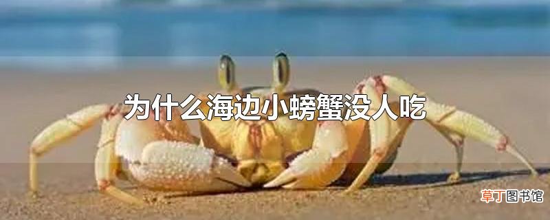 为什么海边小螃蟹没人吃