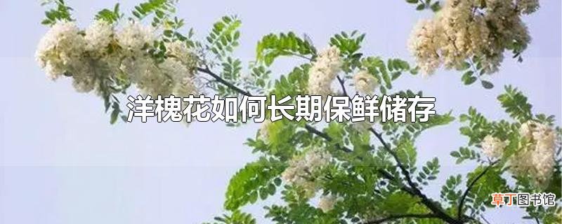 洋槐花怎么长期保鲜储存
