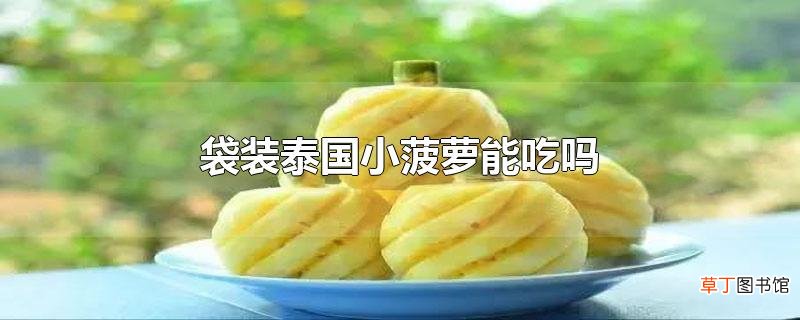 袋装泰国小菠萝能吃吗