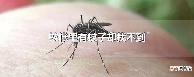 蚊帐里有蚊子却找不到