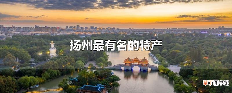 扬州最有名的土特产