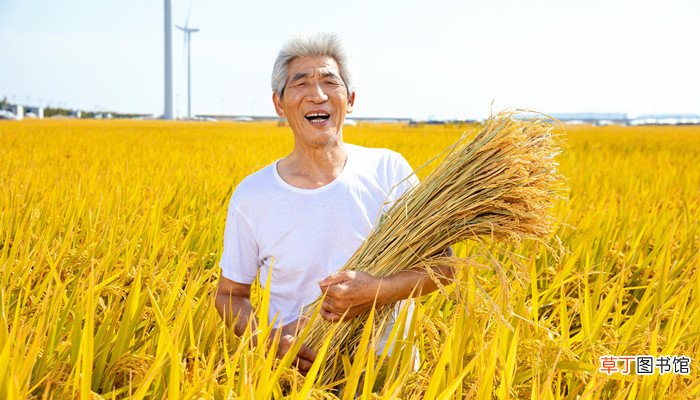《台阶》赏析
