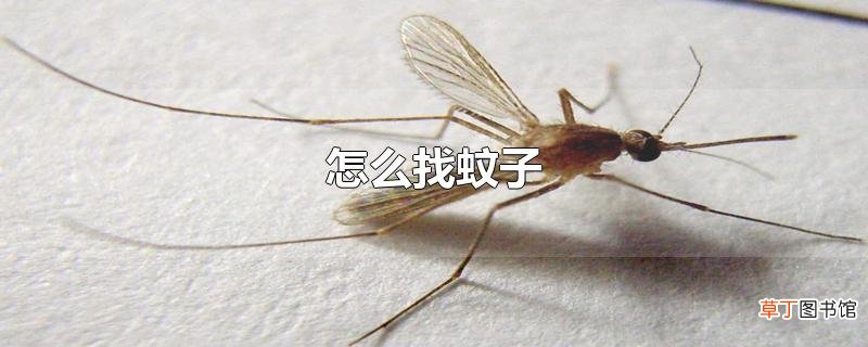 怎么找蚊子