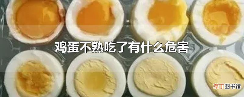 鸡蛋不熟吃了有什么危害