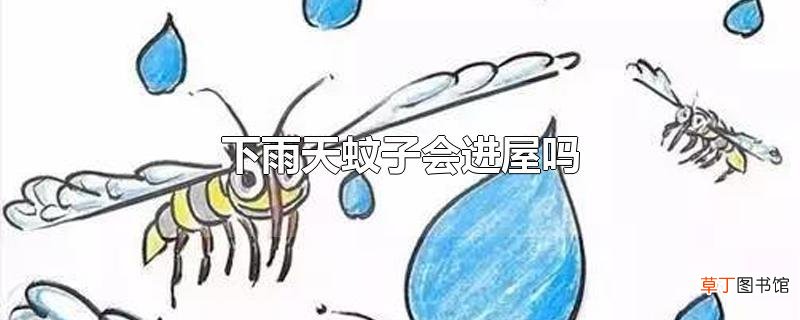 下雨天蚊子会进屋吗