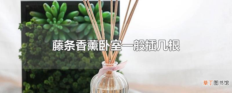 藤条香薰卧室一般插几根