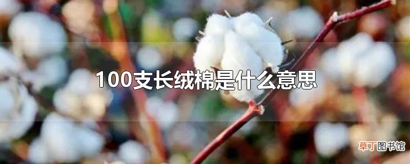 100支长绒棉是什么意思