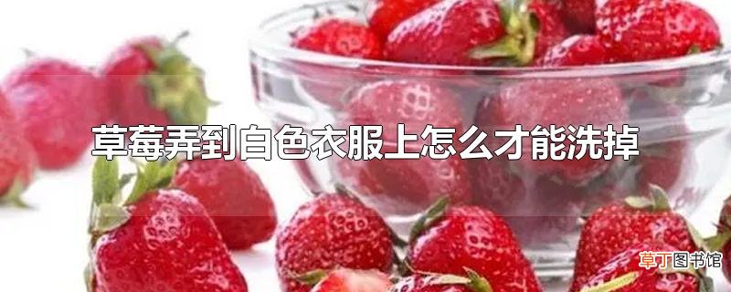草莓弄到白色衣服上怎么才能洗掉