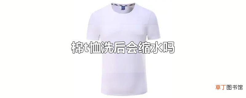 棉t恤洗后会缩水吗