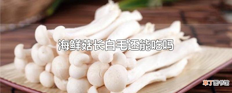 海鲜菇长白毛还能吃吗