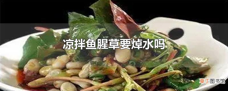 凉拌鱼腥草要焯水吗