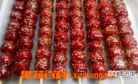老北京冰糖葫芦怎么做 冰糖葫芦食用注意事项