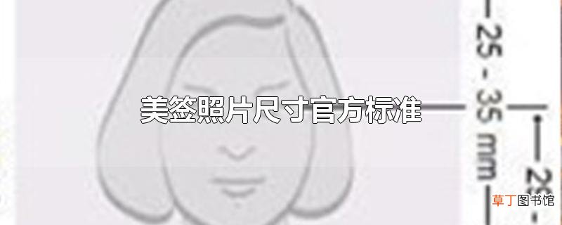 美签照片尺寸官方标准