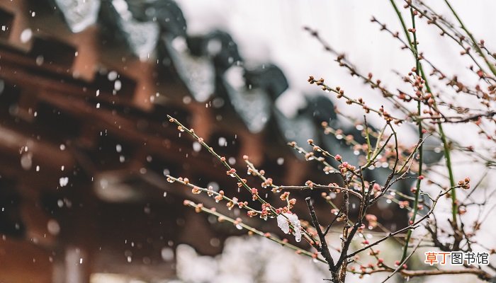 天街小雨润如酥是什么季节