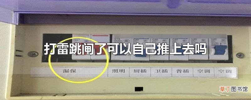 打雷跳闸了可以自己推上去吗