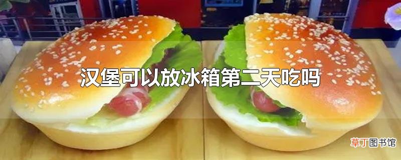 汉堡可以放冰箱第二天吃吗