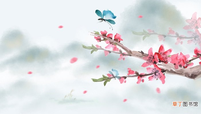 终是庄周梦了蝶的诗句
