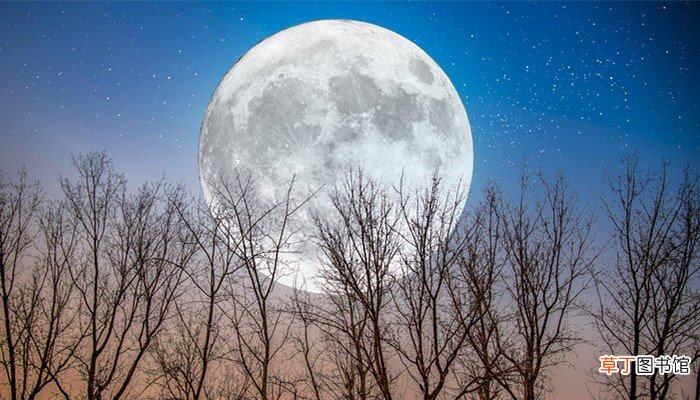 此生此夜不长好明月明年何处看的意思