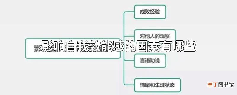 影响自我效能感的因素有哪些