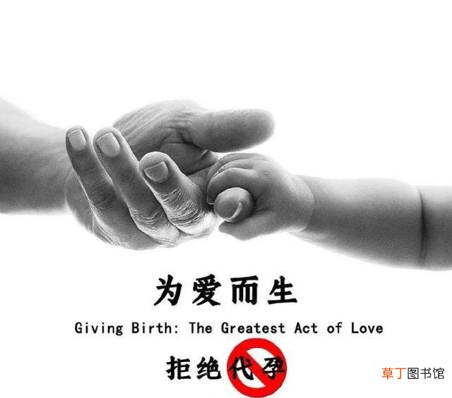 郑爽败诉！张恒获得孩子抚养独立决定权，为代孕行为致歉