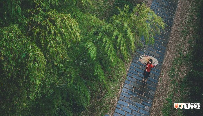 蒙蒙细雨还是濛濛细雨？