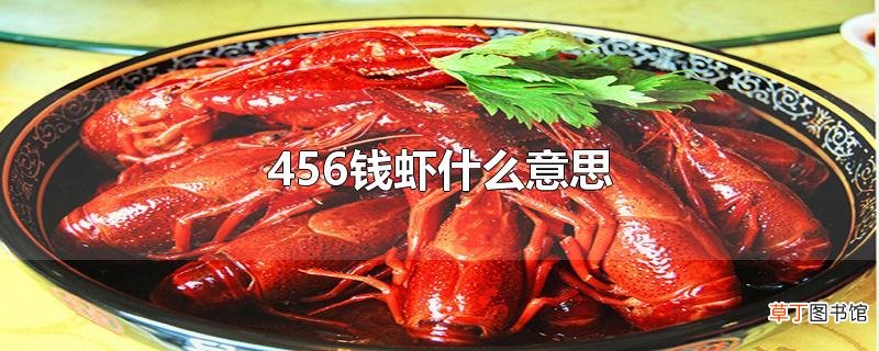 456钱虾什么意思