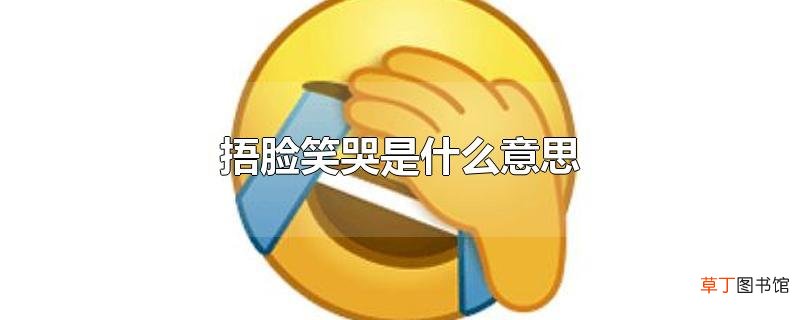 捂脸笑哭是什么意思
