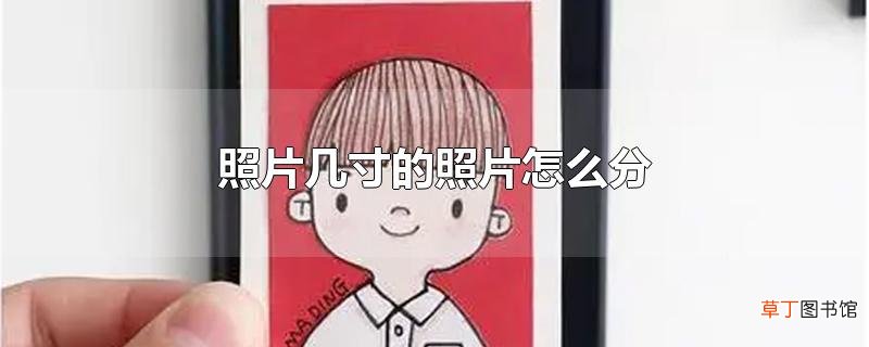 照片几寸的照片怎么分