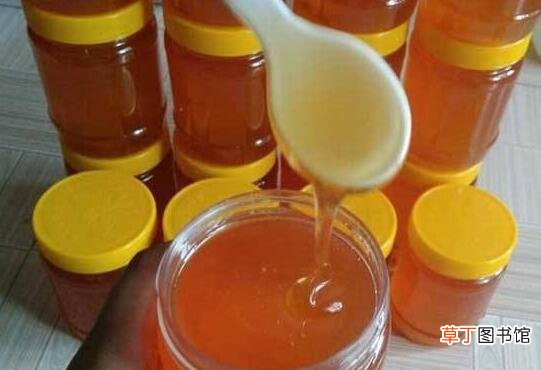 蜂蜜人工浓缩方法 浓缩蜂蜜如何做