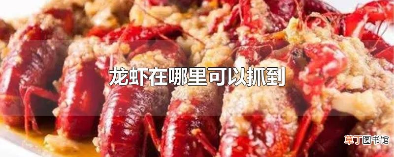 龙虾在哪里可以抓到
