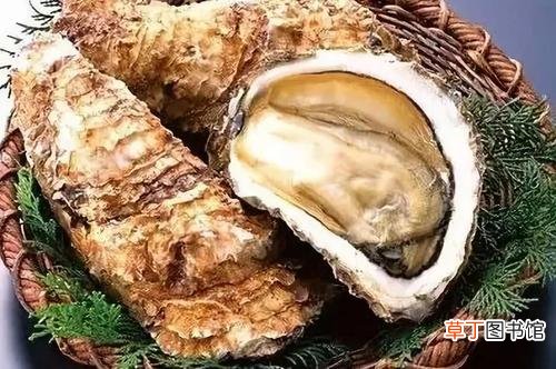 牡蛎药用的功效与作用-中药牡蛎的功效与作用