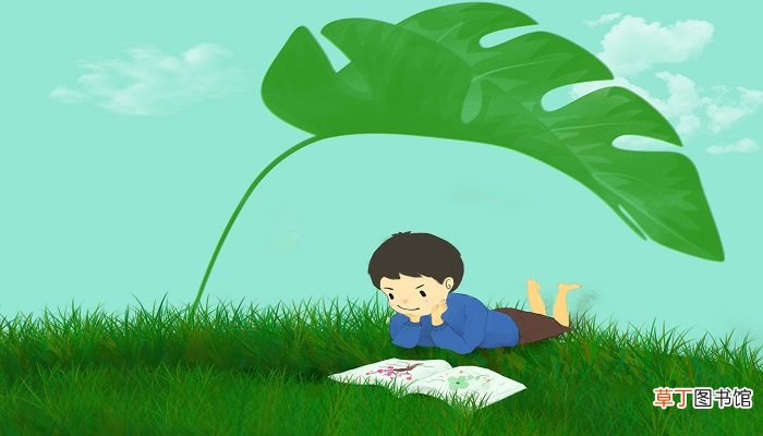 树之歌里面有几种树