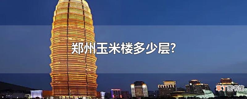 郑州玉米楼多少层?
