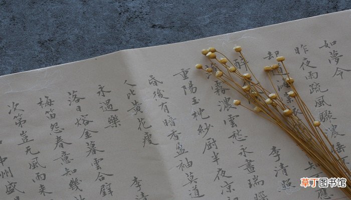 北人不识菱的文言文翻译
