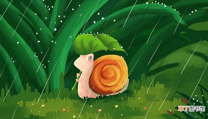 秋天的雨给大地带来了什么