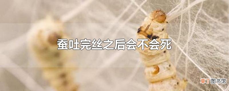 蚕吐完丝之后会不会死