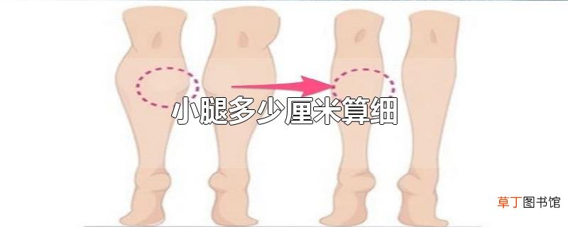 小腿多少厘米算细