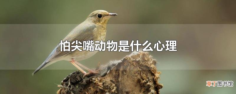 怕尖嘴动物是什么心理