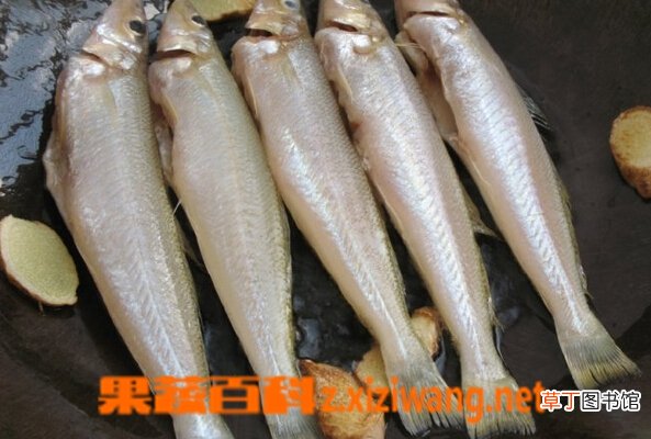 烧鱼怎么不粘锅 教你巧用姜片怎样煎鱼不掉皮