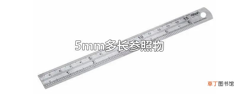 5mm多长参照物