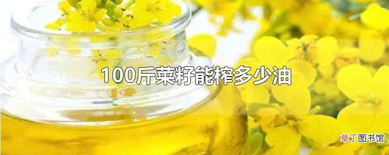 100斤菜籽能榨多少油