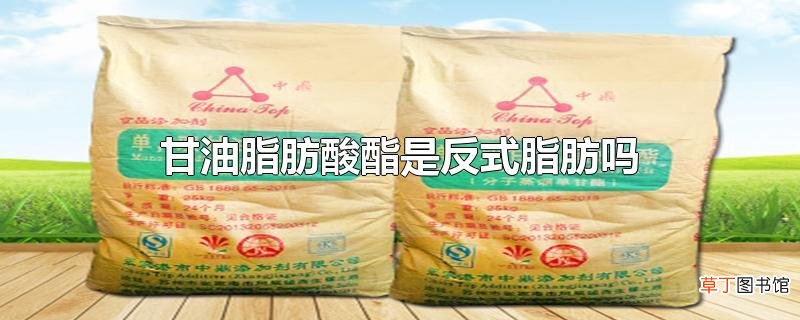甘油脂肪酸酯是反式脂肪吗
