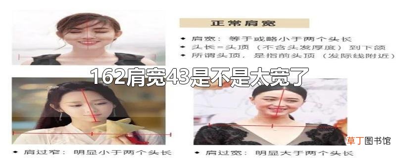 162肩宽43是不是太宽了